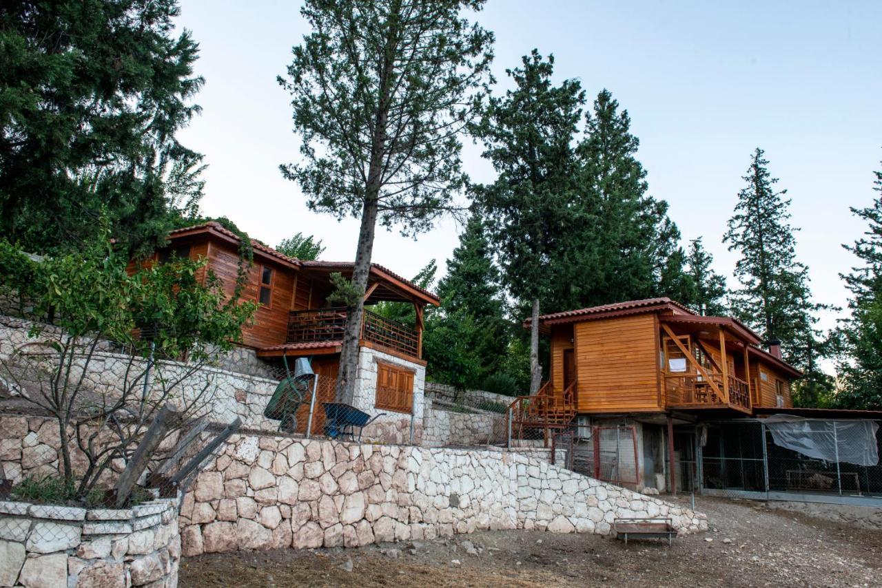 Trinitys Forest Bungalows Kemer Exterior foto